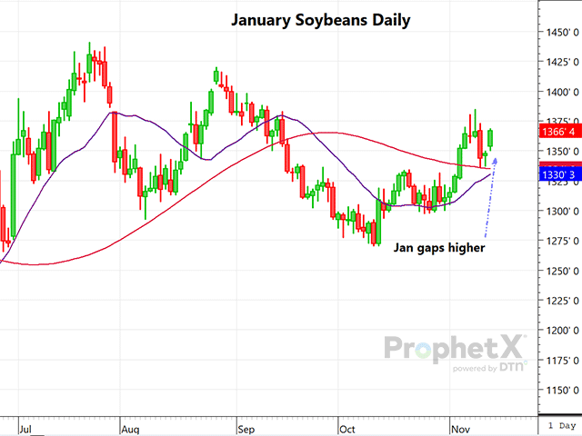 This is a daily chart of January soybeans reflecting Monday&#039;s gap higher opening, reflecting the third consecutive day of new soy sales to China and/or unknown, and still bullish South American weather. (DTN ProphetX chart by Dana Mantini)
