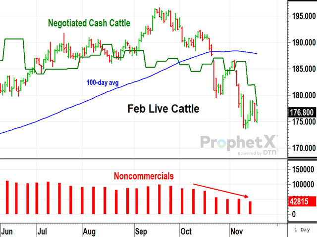 After falling to their lowest prices in six months, February live cattle found support in the week ending Nov. 17. Another week of liquidation among specs showed the bearish worries continued ahead of Friday&#039;s on-feed report. (DTN ProphetX chart by Todd Hultman)