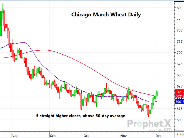 The chart above is a daily chart of Chicago March wheat showing the fifth consecutive higher close, and the sharp surge on Monday following the China purchase. (DTN ProphetX chart)