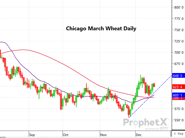 The chart above is a daily chart of Chicago March wheat, having corrected back to key moving averages, with short-term averages about to cross the longer-term.  (DTN ProphetX chart by Dana Mantini)