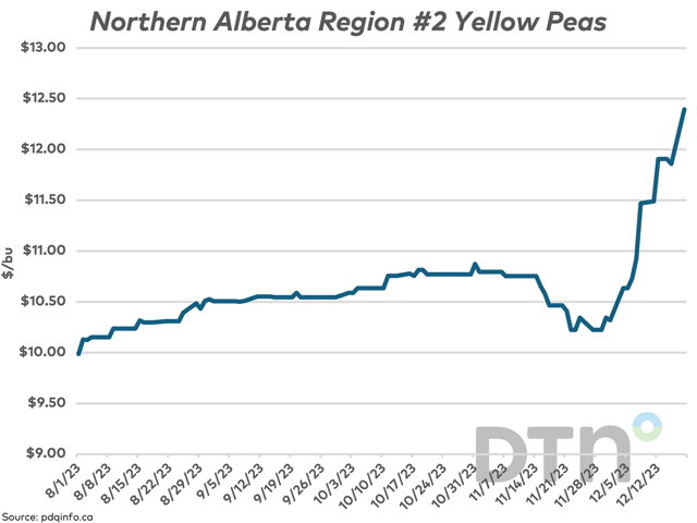 According to pdqinfo.ca price data for Dec. 18, yellow pea bids continue to surge across the Prairies, while the current market inverse should be considered. (DTN graphic by Cliff Jamieson)
