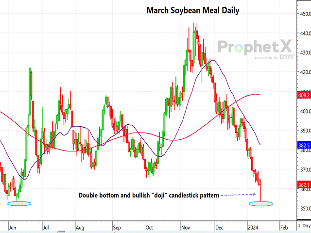 The chart above is a daily chart of Chicago March soybean meal, showing an exact double bottom and a Japanese candlestick bullish "doji" reversal pattern. (DTN ProphetX chart by Dana Mantini)