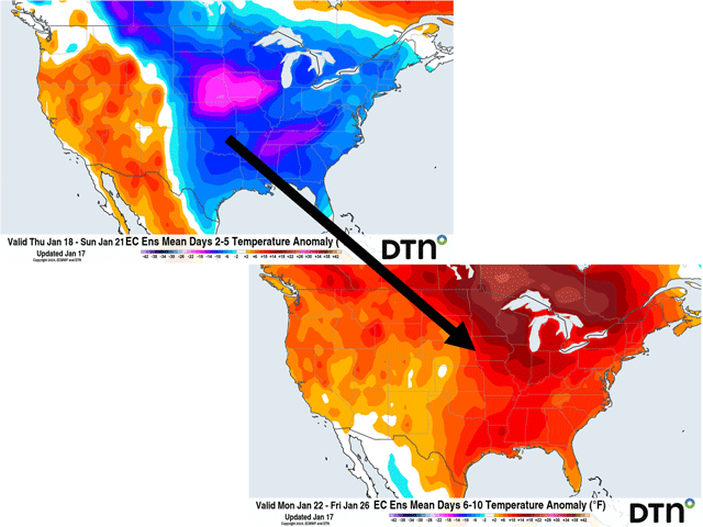 The cold polar vortex will continue to influence the weather through the weekend, but higher temperatures are in store for next week as forecast here by the ECMWF. (DTN graphics)