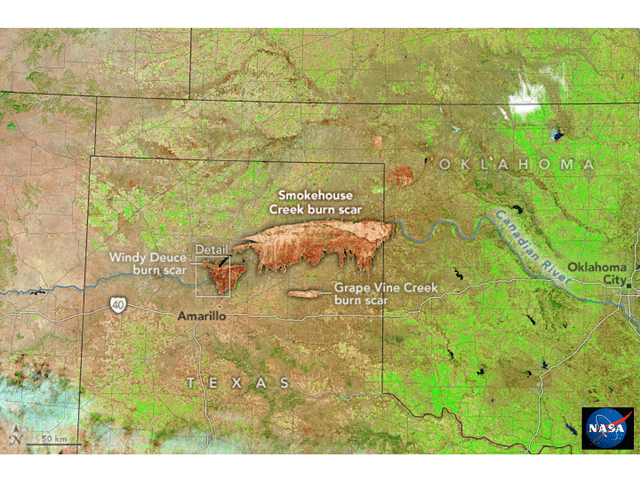 Satellite imagery from March 2 vividly shows the burned areas (reddish brown) north of Amarillo, Texas. Olive-brown areas indicate grassland where vegetation is still dormant. Areas in bright green are irrigated fields. (NASA image)