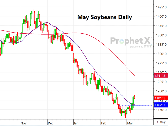 This is a daily chart of May soybeans, showing the contract moving above the 20-day moving average and up some 34 cents from the low to end last week. (DTN ProphetX chart)