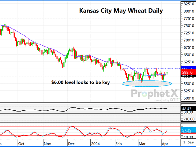 This is a daily chart of Kansas City May wheat. The market appears to be forming a solid base, a rounding bottom with the $5.50-$5.55 area being the lower end of that range. (DTN ProphetX chart)