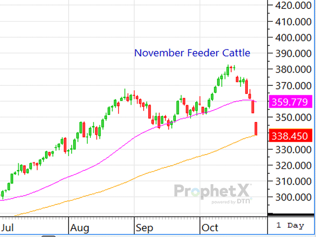 The cattle complex has plummeted lower even though nothing has changed fundamentally. (DTN ProphetX chart)