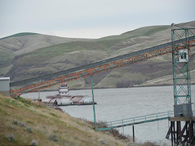 Barges on the Snake River near a Columbia Grain International terminal. There are 13 grain terminals along the Snake River supported by four dams. Groups trying to restore salmon runs would like to see the four dams breached. (DTN file photo by Chris Clayton)  