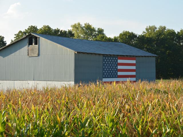 A barn just outside of Dearborn, Missouri, reflects some of the patriotism of the barn&#039;s owner. With 55 days until the presidential election, the American Farm Bureau Federation on Wednesday released a questionnaire on agricultural and rural issues with responses from President Donald Trump and former Vice President Joe Biden. (DTN photo by Chris Clayton)