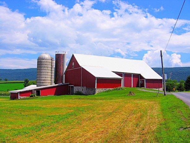 Farm groups continue to study President Joe Biden&#039;s plan to eliminate stepped-up basis on inherited assets. USDA stated only about 2% of farms would be impacted, and the only heirs who would pay the tax would be those who sell the farm or ranch. American Farm Bureau&#039;s analysis sees a much larger group of farms potentially impacted by the tax plan. (DTN file photo) 