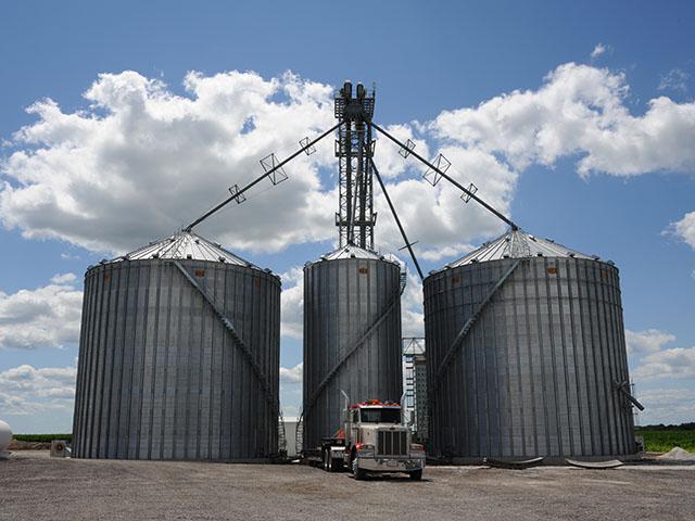 Many farmers have been injured and even killed working in and around grain bins. A Minnesota program is encouraging farmers to upgrade their safety equipment to help prevent injuries. (DTN photo by Pamela Smith)