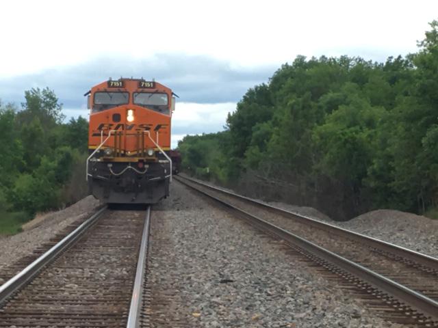 In 2020, Burlington Northern Santa Fe (BNSF), based in Fort Worth, Texas, hauled 1.1 million carloads of agricultural commodities, according to the company&#039;s website. (Photo by Kelly Moshier)
