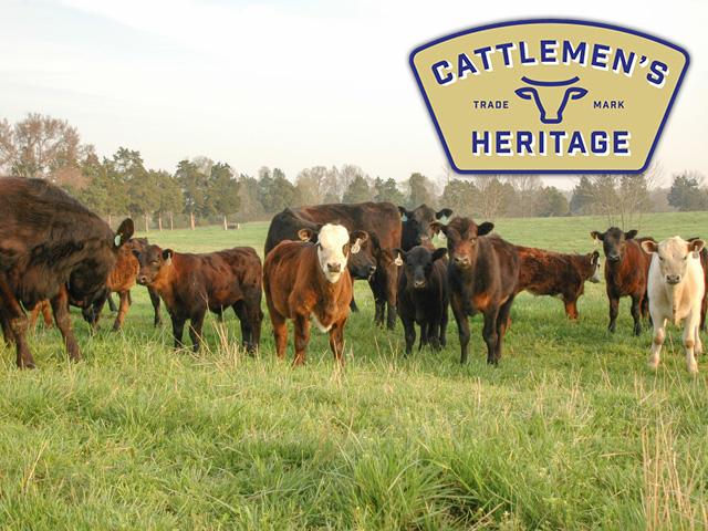 Cattlemen&#039;s Heritage, a proposed beef packing plant in southwest Iowa, last month announced new financing from a Florida cold-storage developer, and secured its land for development. The project is one of four major independent packing plants under development in the cattle industry. (DTN file photo using logo from Cattlemen&#039;s Heritage Co.)
