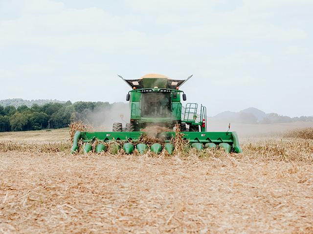 According to the USGC 2022-23 Corn Harvest report, despite growing season challenges, the U.S. still produced a corn crop with high grain quality and a supply that will enable it to remain the world&#039;s leading corn exporter. (Photo by Leah Pottinger Photography, New Haven Kentucky)
