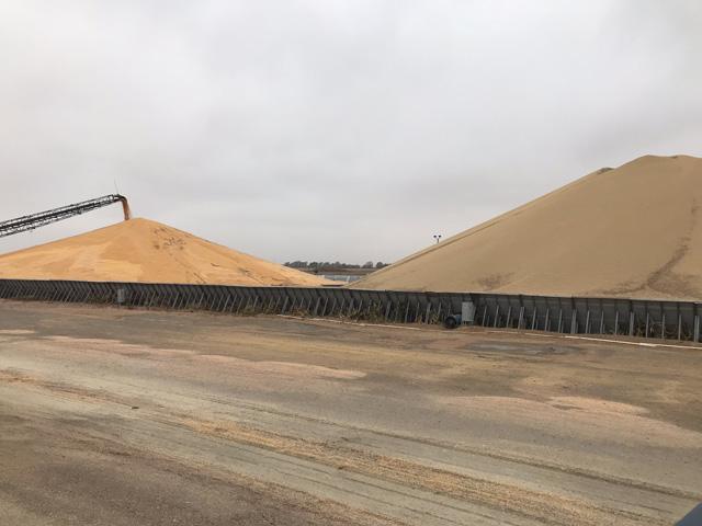 As corn and soybean harvest started early, and in some cases ran side-by-side this year, elevators like this one in Overton, Nebraska, had to pile the two crops close together while waiting for transportation to ship one or the other. (Photo courtesy of Don Batie)