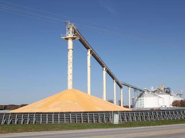 Corn piled at a grain elevator in Illinois. U.S. senators and others are starting to raise more concerns over Mexico&#039;s plan to ban genetically modified corn imports. In the last marketing year, the U.S. exported 16 million metric tons of corn to Mexico. (DTN file photo by Pamela Smith) 