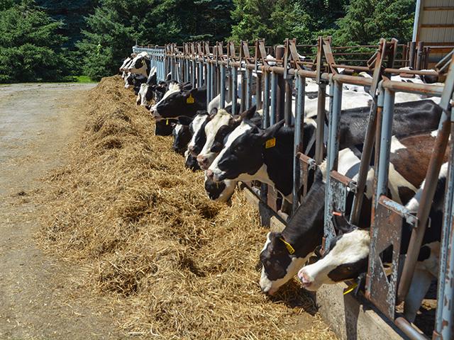 The country&#039;s two largest general farm groups have joined forces in a letter calling on USDA to change the dairy price formula now rather than wait for the full Federal Milk Marketing Order (FMMO) procedures to issue a rule. Under a change in the 2018 farm bill, dairy farmers have lost $1 billion due to a change in the formula. (DTN file photo by Chris Clayton) 