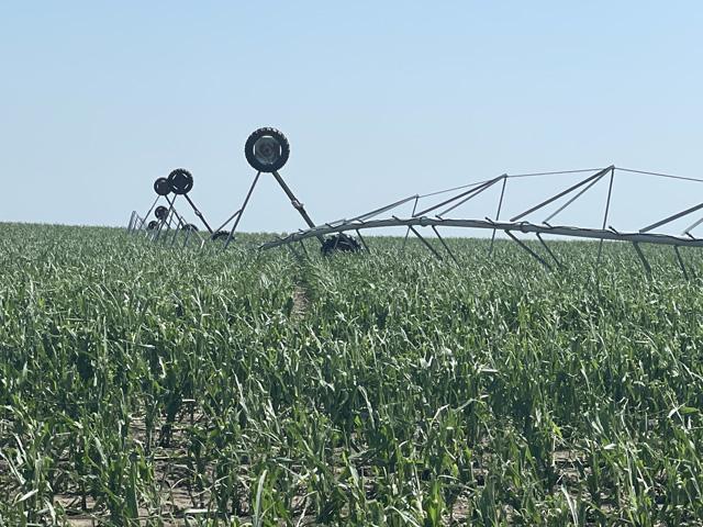 Tossed pivots and hail-damaged crops have been making for a tumultuous crop season so far. These fields in Nebraska are an example of how violent weather can get. (DTN photo by Elaine Shein)