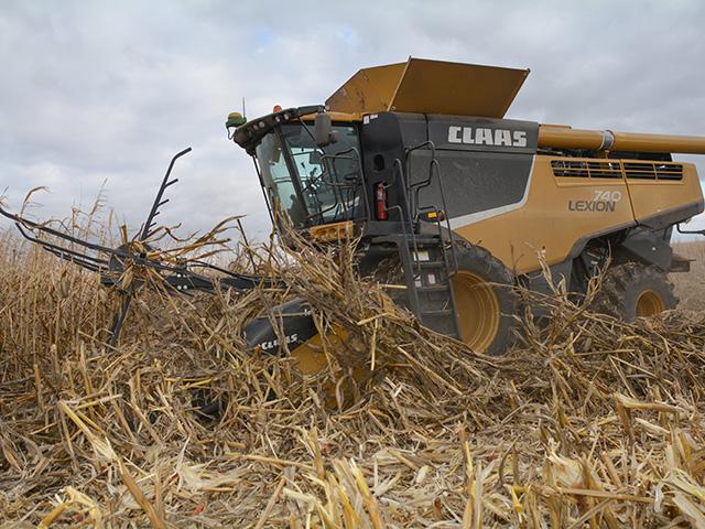 Estimated Iowa corn yield after drought and derecho in 2020 is 15 percent lower than USDA&#039;s August estimate. (DTN photo by Matt Wilde)