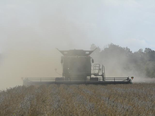 It&#039;s dry and dusty in fields this fall. Farmers have some options to bring soybeans back to market conditions. (DTN photo by Matt Wilde)