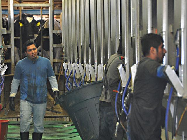 Year-round dairy workers are excluded from the seasonal H-2A guest worker program, but the Farm Workforce Modernization Act would change the program to allow H-2A workers to remain in the country longer and work on farmers such as dairy operations. Like the last Congress, the bill will likely pass the House, but face long odds in the evenly-split Senate.  (DTN file photo by Chris Clayton) 