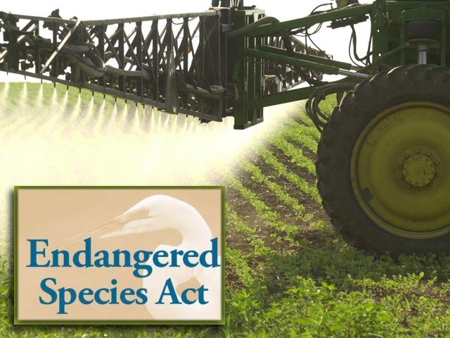 EPA has announced a new policy to fully comply with the Endangered Species Act. Here&#039;s what that means for ag pesticides, keeping in mind that the new Enlist herbicide labels may be a useful preview of future pesticide labels. (DTN photo graphic)  