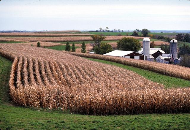 Scientists continue to search for the best way to quantify land-use changes in agriculture. (DTN file photo)