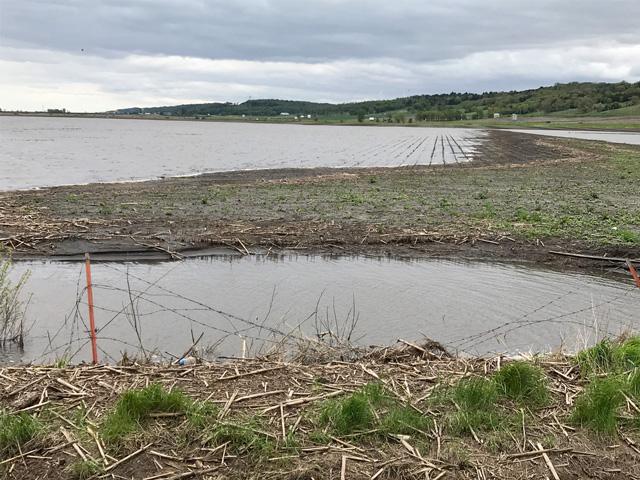 A flooded field in 2019. WHIP-Plus paid for disasters in 2018 and 2019. Enrollment for the main program ended last fall, but it was reopened in January for producers to file claims for quality losses.  (DTN file photo) 