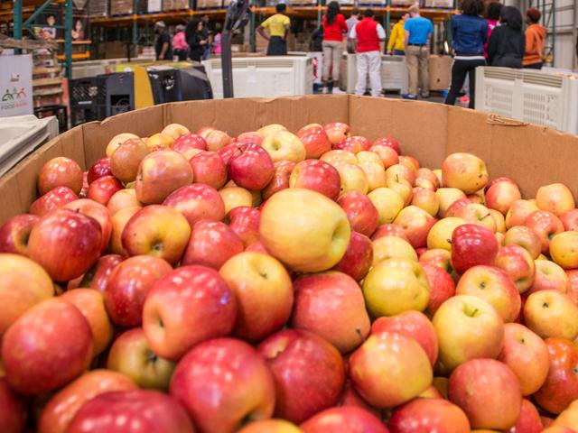 Farmers who grow apples, blueberries, garlic, potatoes, raspberries and tangerines can apply for losses under the CARES Act after USDA determined they had losses of greater than 5% earlier this year due to COVID-19. (Photo courtesy of USDA.gov) 