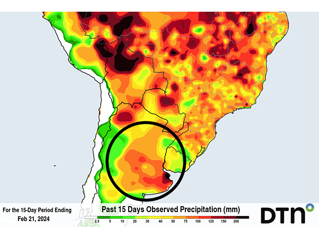 Rainfall during the last 15 days in Argentina looks heavy, but came in a couple of big bursts almost two weeks ago with little since then. (DTN graphic)