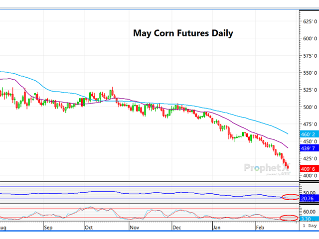 This is a daily chart of Chicago May corn futures, which set another new low Monday, with spot March corn breaking under $4.00 for the first time in 5 years. (DTN ProphetX chart)