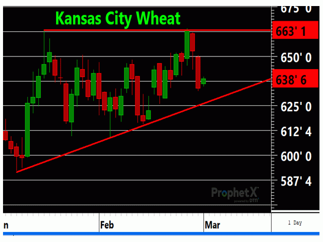 Kansas City wheat has an ascending triangle pattern unfolding, which would suggest a continuation of the uptrend. (DTN/ProphetX chart)