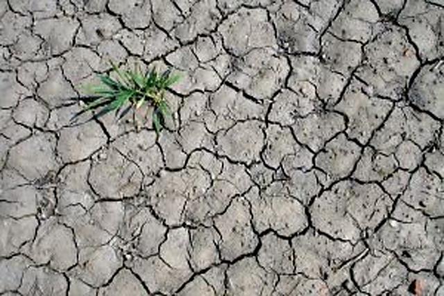 USDA&#039;s emergency rules are intended to expedite the claims process in areas affected by extreme drought.  (DTN File Photo) 