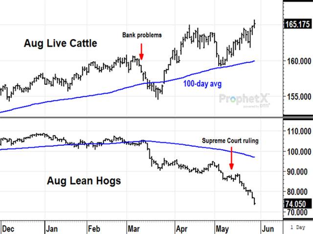 The paths of August cattle and hog prices couldn&#039;t have been more different in early 2023. Both prices were negatively affected by worries about U.S. bank failures in March. But cattle quickly recovered and are pushing new highs, while hog prices are spiraling lower after the Supreme Court made pork production much more difficult. (DTN ProphetX chart)