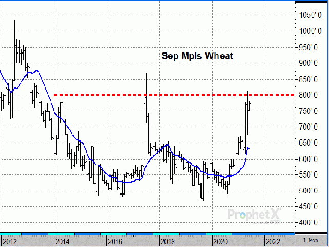 September Minneapolis wheat is currently the most bullish of the three U.S. wheats with persistent drought conditions in spring wheat areas. (DTN ProphetX chart)