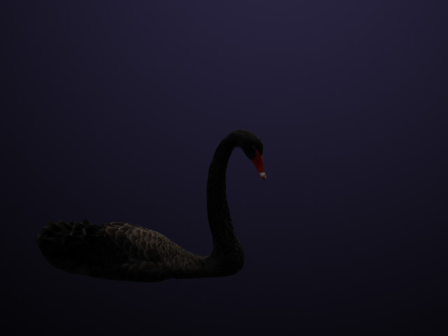 A black swan is an event or occurrence that deviates beyond what is normally expected of a situation and that would be extremely difficult to predict. The coronavirus and its impact on markets has become such an event. (DTN illustration by Nick Scalise)