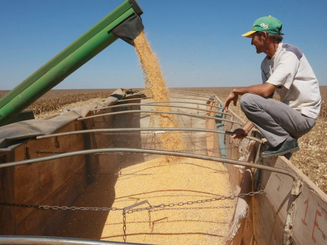 The Brazil Agriculture Ministry last week raised its second-crop forecast to 45.1 million metric tons (1.78 billion bushels), up 15% from last year&#039;s bumper crop. (DTN file photo)