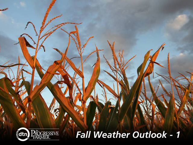 Corn and soybean harvest weather issues appear to be very few entering the fall season. (DTN photo by Elaine Shein)