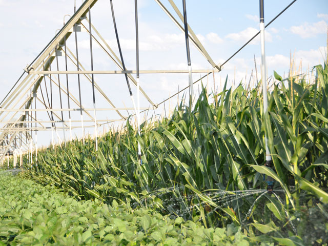 The value of land irrigated by center pivot in Nebraska declined 3% to $5,970 per acre. (DTN file photo by Chris Clayton)