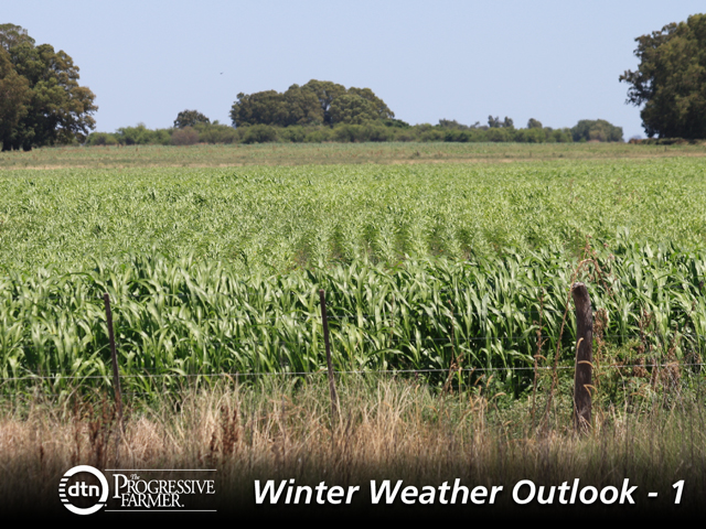 Drought threats to Argentina&#039;s corn crop appear to have a very low probability of occurring this season. (DTN file photo by Alastair Stewart)