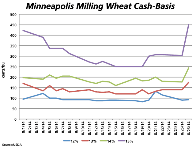 This line chart indicates the trend in Minneapolis milling quality spring wheat basis levels, as determined by the midpoint of the reported daily range of basis levels traded, for 12% to 15% protein levels. Cash basis narrowed suddenly on Tuesday, indicating a heightened concern over the prospects for this year&#039;s crop quality. (DTN graphic by Nick Scalise)
