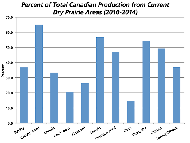 This graphic shows an estimated percentage of production of selected grains that have originated from what are now the driest areas of the Prairies on average over the past five years. The chosen area has received less than 40% of average precipitation between April 1 and June 9, with a large percentage of the country&#039;s canary seed, lentils, peas and durum produced in this area. (DTN graphic by Nick Scalise)