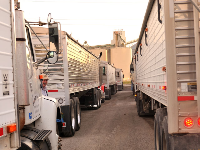 Trucks waiting to be unloaded at Cargill elevator and biodiesel plant, KCMO. (DTN photo by Jim Patrico)