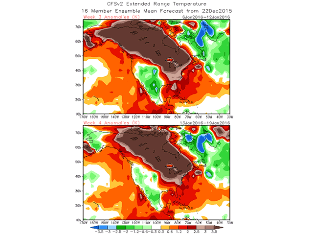 The extended range temperature outlook shows the forecast for January 6 to 12 (top image), and Jan. 13 to Jan. 19 (bottom), for North America. It&#039;s produced by the National Centers for Environmental Prediction in the U.S. It shows widespread warmth is again forecast for western and central Canada into the north-central U.S., with only the far northeast portion of Canada seeing any chill. (Graphic courtesy of National Centers for Environmental Prediction in the U.S.)