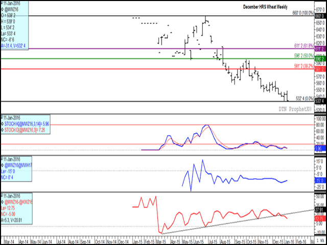 After rallying following the Tuesday report, the December HRS weekly contract is nearing a test of the contract low at $5.32 1/2/bu. Despite the narrowing March/May spread (third study), non-commercial bearishness continues to weigh on this market. The lower study indicates a weakening premium for December spring wheat as compared to hard red winter wheat, an indicator of declining interest in high protein wheat. (DTN graphic by Nick Scalise)