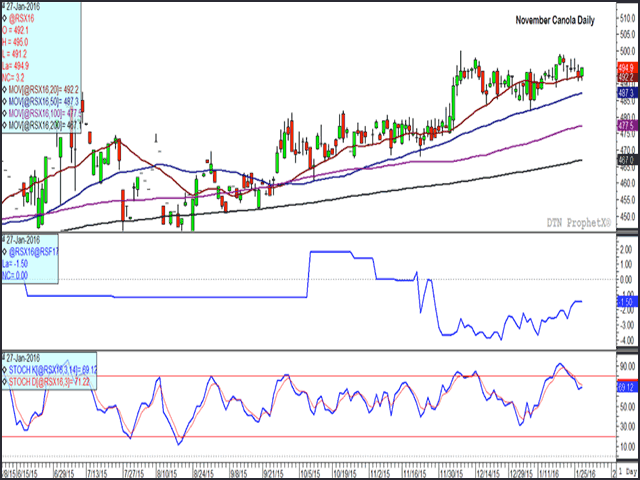 While March canola is testing support of major moving averages and is closer to the lower-end of its eight-week trading range,  November canola continues to hold above major moving averages while holding near the contract high of $500/metric ton. The Nov/Jan spread has narrowed since its late-December low (middle study). (DTN graphic by Nick Scalise)