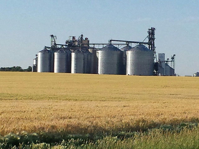On April 24, the CME Group announced it intends to implement a Variable Storage Rate (VSR) mechanism in its KC HRW Wheat futures. Pictured is a mature hard red winter wheat field in June 2016 in front of Oahe Grain, Onida, South Dakota. (Photo courtesy of Tim Luken)
