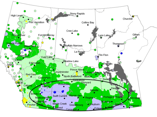 Growing-season rainfall has been close to double the average over much of the southern half of the Prairies. (AAFC graphic)