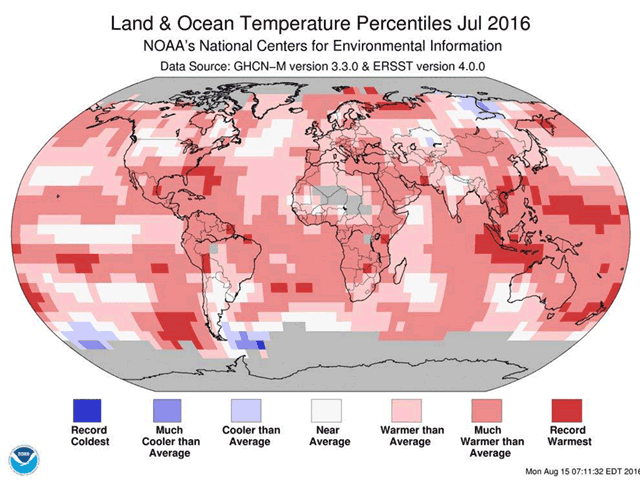 Plenty of reds and pinks show that world warmth was profound in July of this year. (NOAA Graphic)