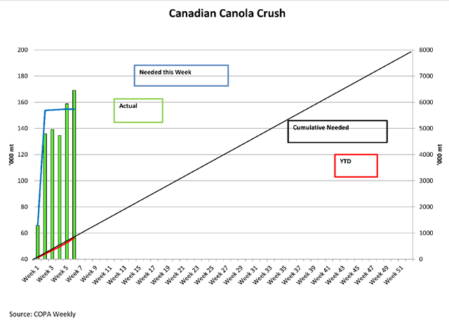 Canadian Oilseed Processors Association reported 169,173 metric tons of canola crushed in the week ending Sept. 7 (green bars), the highest weekly volume this crop year and above the volume needed this week to stay on track to reach the current 8 mmt crush target set by AAFC (blue line), measured against the primary vertical axis. The black line represents the steady pace needed to reach the annual target, measured against the secondary vertical axis, while the red line or the actual pace is tracking closely. (DTN graphic by Scott R Kemper)